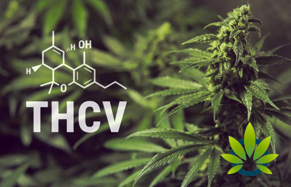 What Is THCV? - Benefits Of This Cannabinoid – Crested River