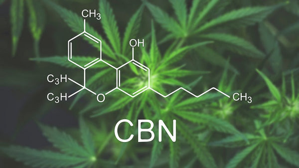 What Is CBN (Cannabinol) & What Are the Benefits of This Cannabinoid?