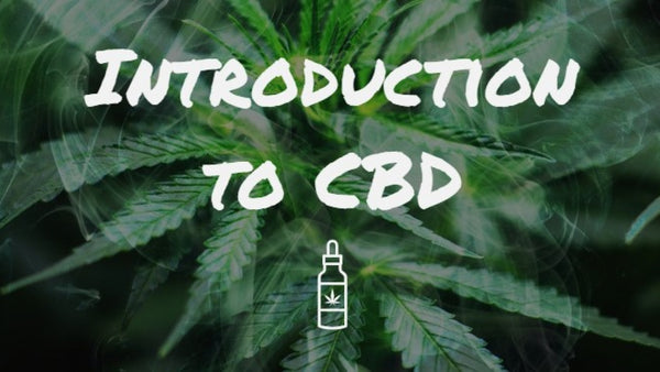 Incorporating CBD and CBG oil into your daily routine
