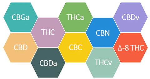 Buy HHC and D9 THC Edibles at Crested River