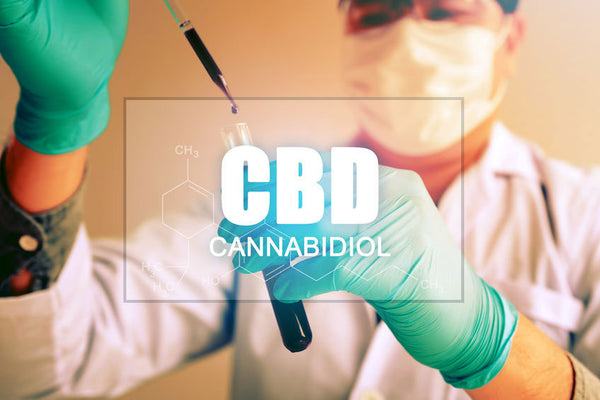 CAN CBD OIL BENEFIT OUR IMMUNE SYSTEM?